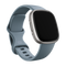Fitbit Versa 4 - Smartwatch - Hartslagmonitor Slaapmonitor - Zilver Blauw