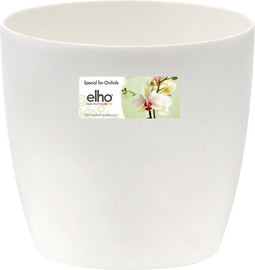 elho - 5 stuks Brussels orchidee 12,5cm transparant