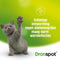 Dronspot Spot On Ontwormingsmiddel voor kleine katten (0,5 - 2,5 kg) 2 pipetten