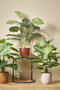 Mica Decorations Tusca Bloempot - 17x17x16 cm - Keramiek - Donkerbruin