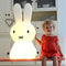 Mr Maria - Nijntje XL Lamp - 80 cm - Ledlamp incl. dimmer - Wit