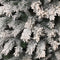 Black Box Trees - Chandler kerstboom frosted, groen - h260xd147cm