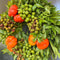 Echte Krans Matteo | 30 cm Ø | Kranz Herbst | krans voor binnen en buiten | deurkrans | Krans landelijk | Herfstdecoratie | Herfst krans | Pompoen decoratie
