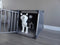 Trixie Vervoersbox Aluminium - L 92X78X64 CM - Stevig en veilig - Grafiet