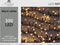 2 stuks - Anna's Collection - Led ivy 300l/8m warmwit 4m aanloopsno...