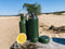 Retulp Tumbler - Thermosbeker - Thermosfles - Forest Green - 300 ml - Koffiebeker - Travel Mug - RVS