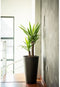 Garden ID Green Care Sense Tall - Hoge bloempot - 100% gerecycled - UV- en vorstbestendig - Zwart-Antraciet - Ø35 x H56 cm