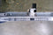 Bosch SMV46IX10N - Inbouw Vaatwasser 60 cm - VarioSpeed EcoSilence Drive - RVS