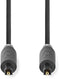 Nedis CABW25000AT50 - Optische digitale kabel S/PDIF - 500 cm - Grijs