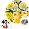Plant in a Box - Narcissen Dubbel Mix - 40x Narcissenbollen - Vroegbloeiende winterharde bloembollen voor in de tuin