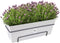 Elho Loft Urban Balkonbak Allin1 50 - Plantenbak met waterreservoir - Wit