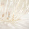 House of Seasons Deco Bal met LED Verlichting - H20 x Ø20 cm - Glas - Wit