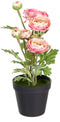 Decoratieve plant Polyester Polyethyleen Ijzer Bloem 12,5 x 12,5 x 37 cm