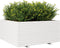 vidaXL - Plantenbak - 100x100x49,5 - cm - massief - grenenhout - wit