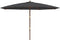 vidaXL - Parasol - met - houten - paal - 400x273 - cm - zwart