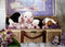 Legpuzzels - Puzzel Educa - 500 stukjes - Puppy's