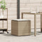 vidaXL - Kussenbox - Beige - 50x50x50 - cm - Poly - Rattan