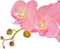 vidaXL - Kunstplant - orchidee - met - pot - 65 - cm - roze