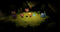 Cat Quest III - Nintendo Switch - RPG - Actiegame (verwacht 8-8-2024)