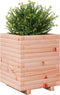 vidaXL - Plantenbak - 40x40x49,5 - cm - massief - douglashout
