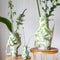 Return to Sender | Vaas Small 15 cm Jungle print handgeschilderd met handvat - Bloemenvaasje - klein vaasje