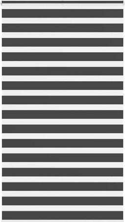 vidaXL - Zebra - rolgordijn - 135x230 - cm - stofbreedte - 130,9 - cm - zwart