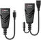 Lindy 100m USB 2.0 Type C Cat.6 Extender - USB extender over ethernet - 2x Ethernet 1Gbps
