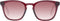 Ted Baker TB1683 249 Zonnebril - Heren - Rood