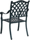 vidaXL - Tuinstoelen - 2 - stuks - Groen - Gietijzer