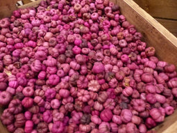Putka pods roodroze 1 schep