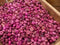 Putka pods roodroze 1 schep