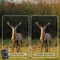 DENVER WCT8016 - Wildcamera - 50MP foto's 4K Ultra HD video - Groen