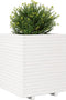 vidaXL - Plantenbak - 60x60x72 - cm - massief - grenenhout - wit