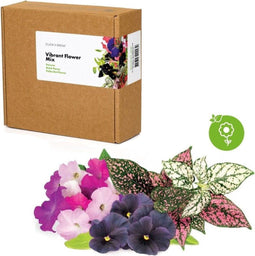 Click & Grow vibrant flower mix