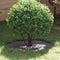 vidaXL - Platte - Boomring - Anthraciet - Ø30/60 - cm - Staal