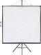 vidaXL - Projectiescherm - met - statief - 67 - inch - 1:1