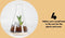 Suck UK Chemistry Terrarium Kit