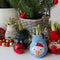 Plant in a Box - Amaryllis - Hippeastrum 'Reindeer Sweater' - Bloembol - Rode bloemen