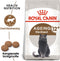 Royal Canin Ageing Sterilised 12+ - Kattenvoer - 2 kg