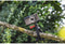 Hama Flex 2in1 - Mini-tripod - Flexibele benen 360° - Aluminium