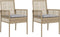 vidaXL - Ligbedden - 2 - stuks - met - Kussens - Beige - Poly - Rattan