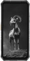 Ulefone Armor 28 Pro - Smartphone - 6,67 inch - 16GB RAM - 512GB ROM - Zwart