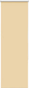 vidaXL - Rolgordijn - verduisterend - 55x130cm - stofbreedte - 50,7 - cm - polyester