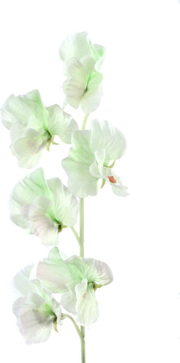 PTMD Garden Bloem Sweetpea Kunstbloem - 23 x 6,5 x 45,5 cm - Wit