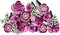 LEGO Botanicals - Roze Rozenboeket - 12 rozen - (10374)