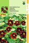 5 stuks - Hortitops - HT Tropaeolum, Oost-Indische Kers Black Velvet