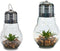 Light bulb Deco 8430852569776