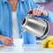 Lebenlang LBE2662 - Waterkoker - BPA-vrij 1.7 l RVS