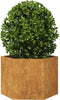 vidaXL - Plantenbak - zeshoek - 69x60x45 - cm - weervast - staal