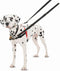 Halti Harnass Anti trektuigje - Hond - Small - Borstomvang 30 tot 60 cm - Rood